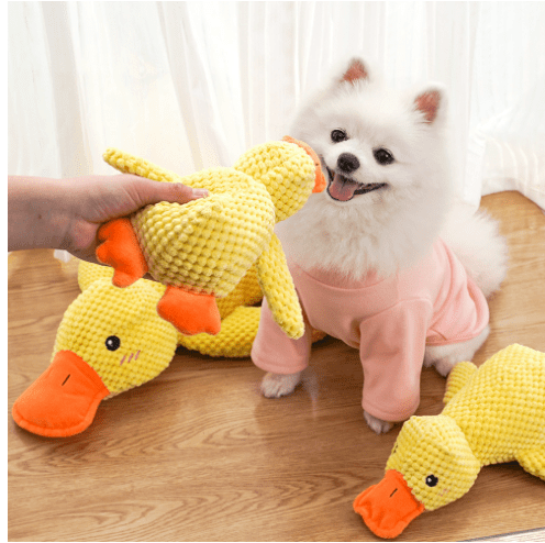 Calming Duck Toy - rich route empire